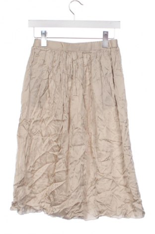 Sukňa Knit-Ted, Veľkosť XS, Farba Béžová, Cena  45,61 €