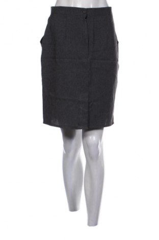 Fustă Unbranded, Mărime S, Culoare Gri, Preț 40,99 Lei