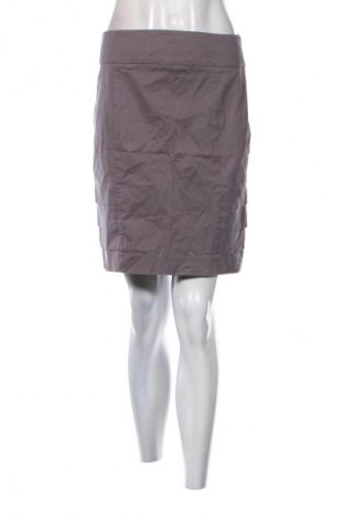 Φούστα Zara, Μέγεθος L, Χρώμα Γκρί, Τιμή 10,23 €