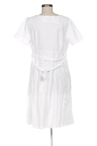 Kleid C&A, Größe M, Farbe Ecru, Preis 31,99 €