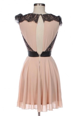 Kleid Elise Ryan, Größe S, Farbe Mehrfarbig, Preis 14,83 €
