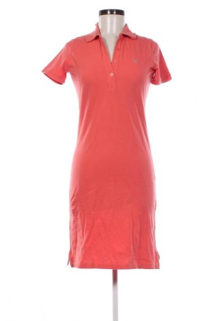 Kleid Gant, Größe XS, Farbe Rosa, Preis 66,48 €