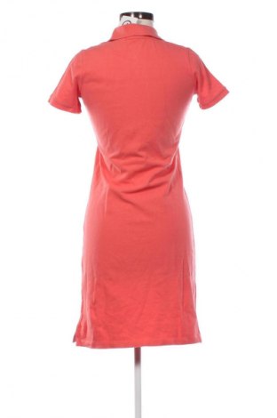 Kleid Gant, Größe XS, Farbe Rosa, Preis 66,48 €