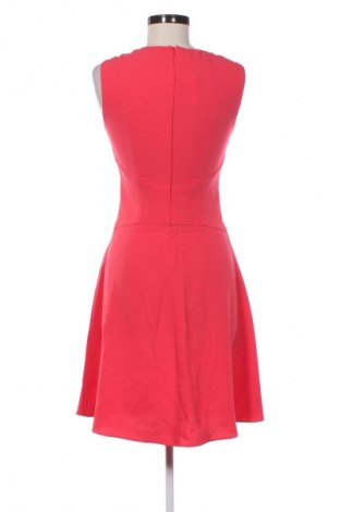 Kleid Hobbs, Größe S, Farbe Rosa, Preis 53,99 €