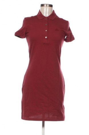 Sukienka Lacoste, Rozmiar XS, Kolor Czerwony, Cena 914,99 zł