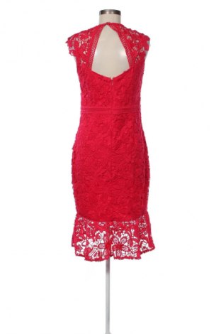 Φόρεμα Lipsy London, Μέγεθος M, Χρώμα Βιολετί, Τιμή 14,83 €