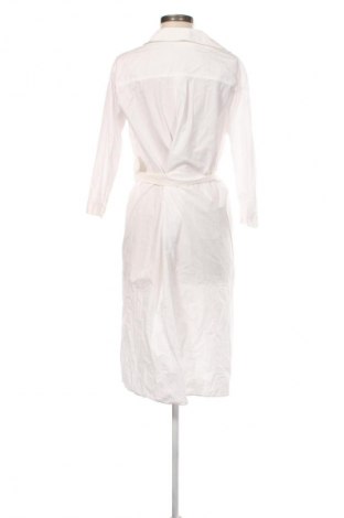 Kleid Mango, Größe S, Farbe Weiß, Preis € 24,55