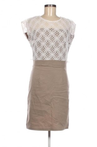 Kleid Miss Etam, Größe M, Farbe Mehrfarbig, Preis € 19,99