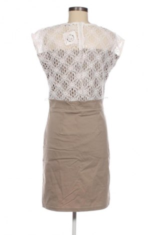 Kleid Miss Etam, Größe M, Farbe Mehrfarbig, Preis € 19,99
