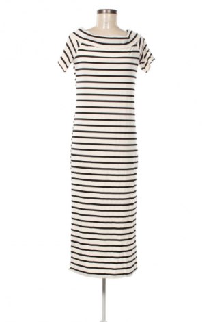 Šaty  New Look, Veľkosť XL, Farba Viacfarebná, Cena  26,95 €