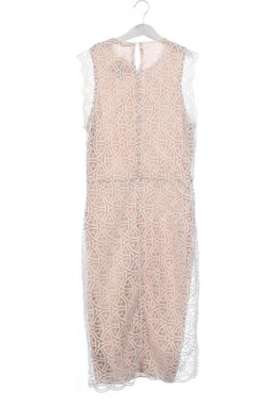 Kleid Zara, Größe M, Farbe Mehrfarbig, Preis 11,99 €