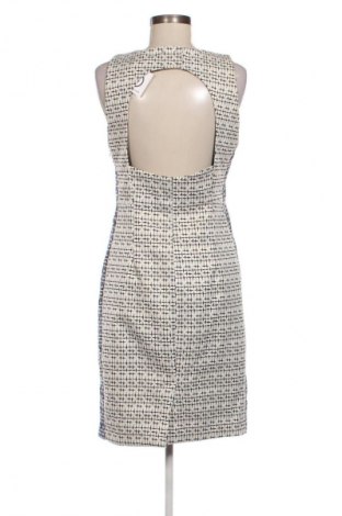 Kleid Zara, Größe L, Farbe Mehrfarbig, Preis € 11,99