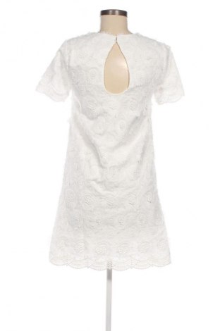 Sukienka Zara, Rozmiar XS, Kolor Czarny, Cena 166,29 zł
