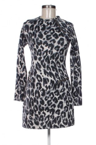 Kleid Zara Trafaluc, Größe S, Farbe Mehrfarbig, Preis € 24,55