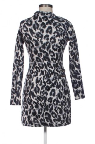 Kleid Zara Trafaluc, Größe S, Farbe Mehrfarbig, Preis € 24,55