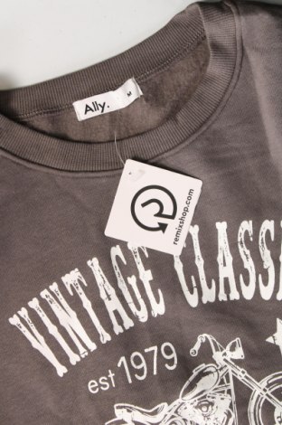 Γυναικεία μπλούζα Ally, Μέγεθος M, Χρώμα Γκρί, Τιμή 2,94 €