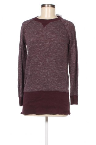 Damen Shirt Gap, Größe XS, Farbe Lila, Preis € 2,82