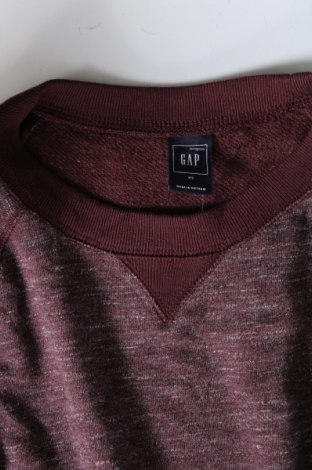 Damen Shirt Gap, Größe XS, Farbe Lila, Preis 2,71 €