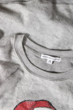 Γυναικεία μπλούζα Grayson, Μέγεθος XS, Χρώμα Γκρί, Τιμή 3,26 €