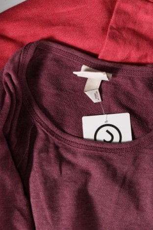 Damen Shirt Knox Rose, Größe M, Farbe Mehrfarbig, Preis € 13,22