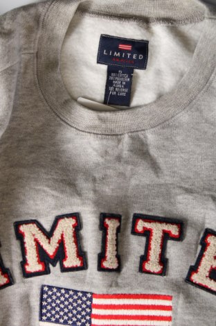 Γυναικεία μπλούζα Limited America, Μέγεθος S, Χρώμα Γκρί, Τιμή 2,94 €