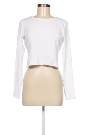Damen Shirt Monki, Größe L, Farbe Weiß, Preis 2,68 €