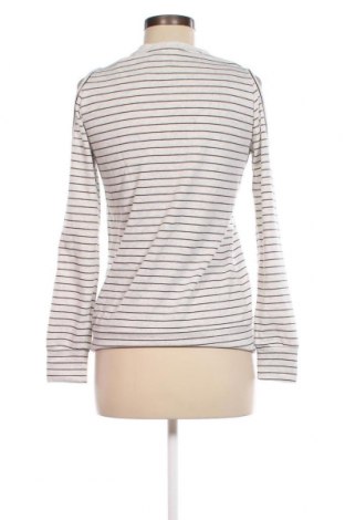 Damen Shirt Now, Größe S, Farbe Grau, Preis 1,99 €