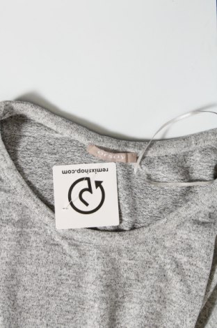Damen Shirt Orsay, Größe S, Farbe Grau, Preis € 2,25