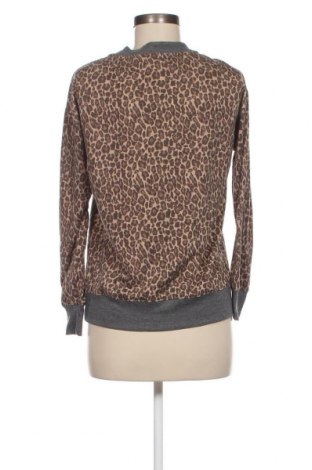 Γυναικεία μπλούζα Splendid, Μέγεθος XS, Χρώμα Πολύχρωμο, Τιμή 3,15 €