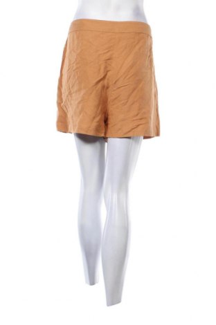 Damen Shorts Superdry, Größe XL, Farbe Beige, Preis € 35,05