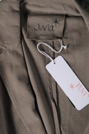 Ανδρικό σακάκι Juvia, Μέγεθος M, Χρώμα Πράσινο, Τιμή 12,42 €