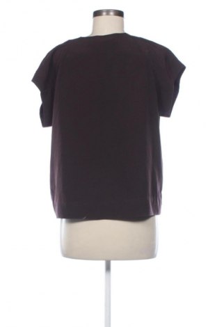Bluzka damska AllSaints, Rozmiar M, Kolor Brązowy, Cena 156,00 zł