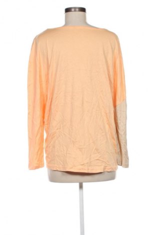 Dámska blúza Collection L, Veľkosť XL, Farba Viacfarebná, Cena  4,95 €