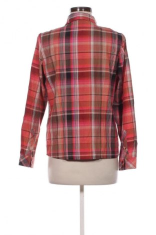 Damen Shirt Collection L, Größe M, Farbe Mehrfarbig, Preis 13,99 €