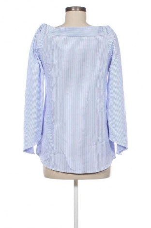 Damen Shirt Colloseum, Größe S, Farbe Mehrfarbig, Preis 13,99 €