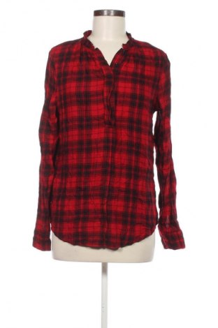 Damen Shirt Colloseum, Größe S, Farbe Mehrfarbig, Preis 5,99 €