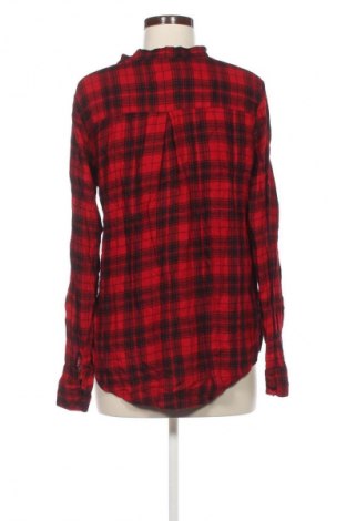 Damen Shirt Colloseum, Größe S, Farbe Mehrfarbig, Preis 5,99 €