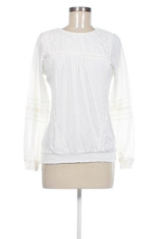 Damen Shirt Essentials by Tchibo, Größe M, Farbe Schwarz, Preis 13,99 €