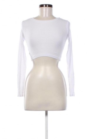 Damen Shirt Fb Sister, Größe XXS, Farbe Weiß, Preis € 13,99