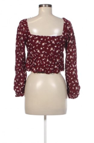 Damen Shirt Hollister, Größe S, Farbe Mehrfarbig, Preis 23,99 €