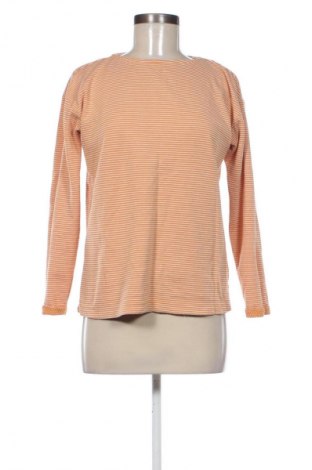 Damen Shirt Laura Torelli, Größe S, Farbe Mehrfarbig, Preis € 9,72