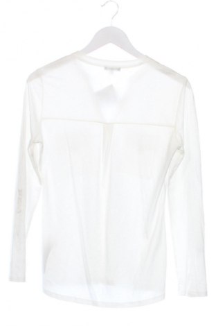 Damen Shirt Massimo Dutti, Größe XS, Farbe Weiß, Preis 24,55 €