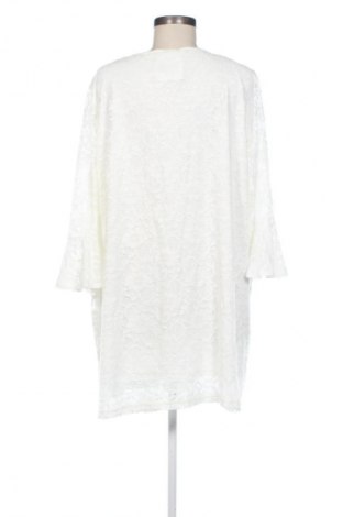Damen Shirt Mia Moda, Größe 3XL, Farbe Ecru, Preis 16,37 €