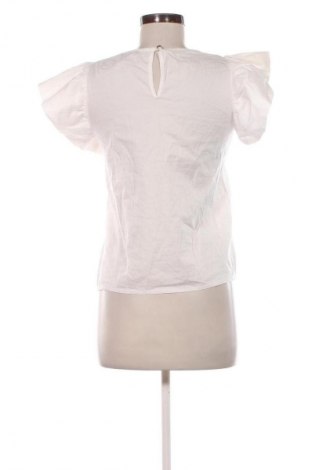 Damen Shirt NEW COLLECTION, Größe M, Farbe Mehrfarbig, Preis 14,00 €