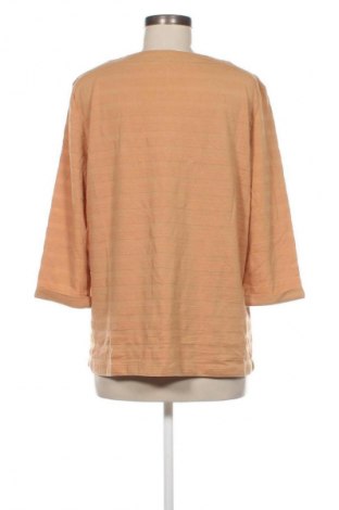 Damen Shirt Nkd, Größe XXL, Farbe Braun, Preis 13,99 €