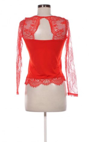 Damen Shirt Pimkie, Größe M, Farbe Rot, Preis € 13,99