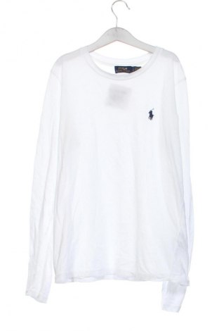 Bluzka damska Polo Ralph Lauren, Rozmiar S, Kolor Biały, Cena 245,99 zł