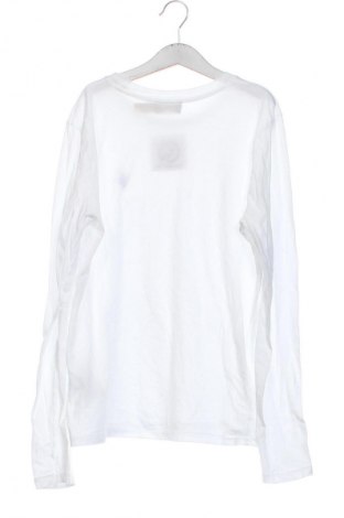 Bluzka damska Polo Ralph Lauren, Rozmiar S, Kolor Biały, Cena 245,99 zł