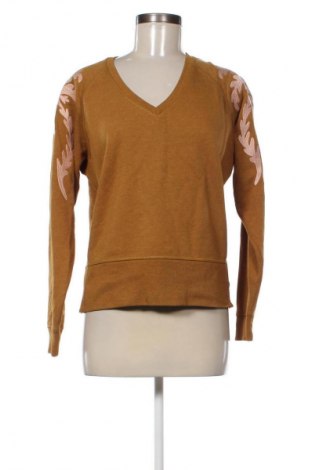 Damen Shirt Scotch & Soda, Größe M, Farbe Braun, Preis € 42,00