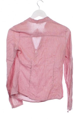 Damen Shirt Stradivarius, Größe M, Farbe Mehrfarbig, Preis 9,79 €